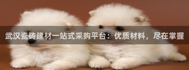 杏鑫注册登录平台是什么