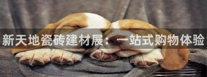 杏鑫平台注册入口