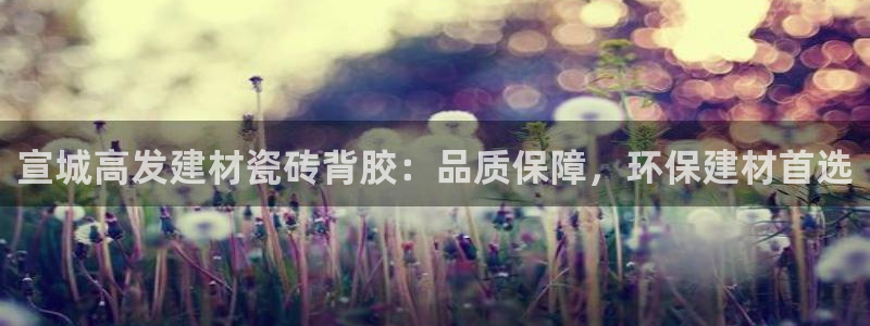 杏鑫平台注册地址